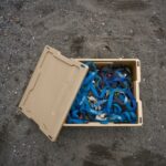 D-co Bin 32 V2 - Image 11