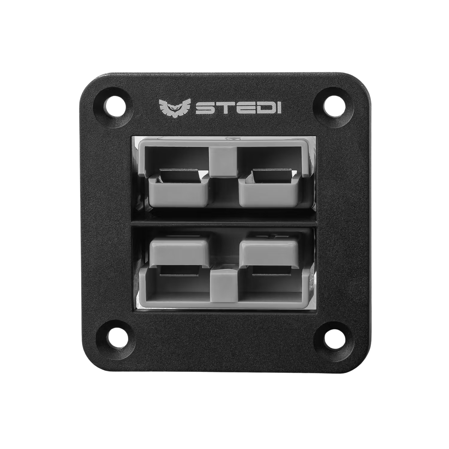 AND-TWIN-FLSH.jpg TWIN ANDERSON STYLE FLUSH MOUNT - Image 1