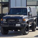 LC79 SINGLE CAB CANOPY